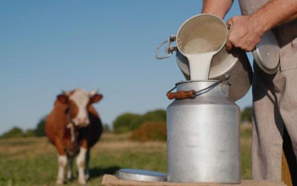 В Бурятии состоится фермерский фестиваль молока