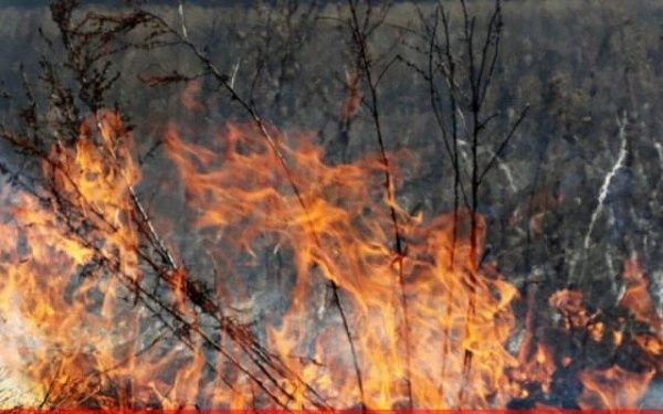 На всей территории Бурятии ввели особый противопожарный режим