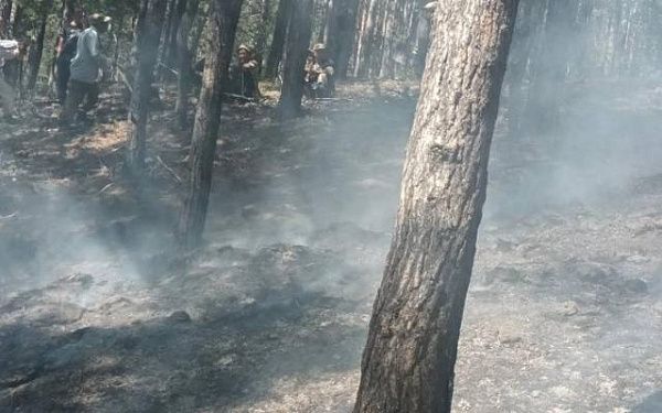 Добровольцы потушили пожар в Бурятии