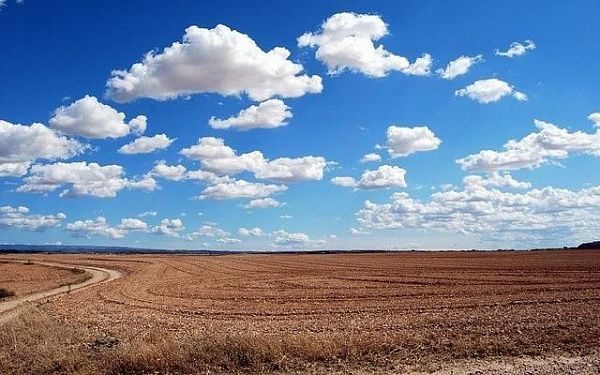 «Озерное» выделило более 2 млн рублей на поддержку сельхозпроизводителей Еравны