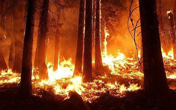 В Бурятии ликвидировали 10 лесных пожаров