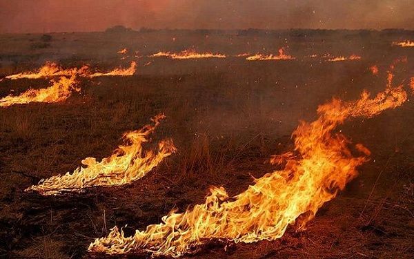 Пожарные Тарбагатайского района спасли лесной массив от огня 