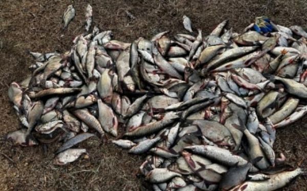 Полиция Бурятии пресекла 70 фактов нарушений правил рыболовства