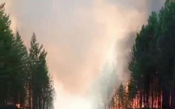 Лесной пожар бушует в Баргузинском районе Бурятии