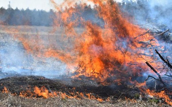 Улан-Удэ отстояли от «лесного пожара»