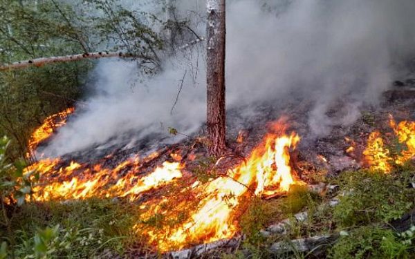 В Бурятии все лесные пожары ликвидированы