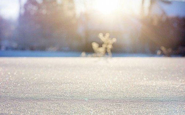 Метеорологический прогноз на 24 февраля