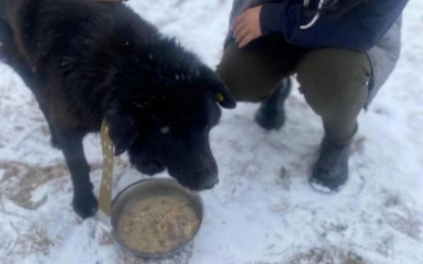 В Бурятии 16-летний пёс Бим из приюта обрёл семью