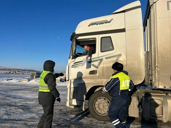 В новогодние праздники ветеринарные посты на границе с Забайкальским краем продолжат работать круглосуточно