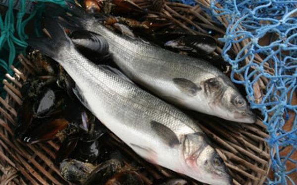 В национальном парке Бурятии задержали браконьера с 77 рыбами
