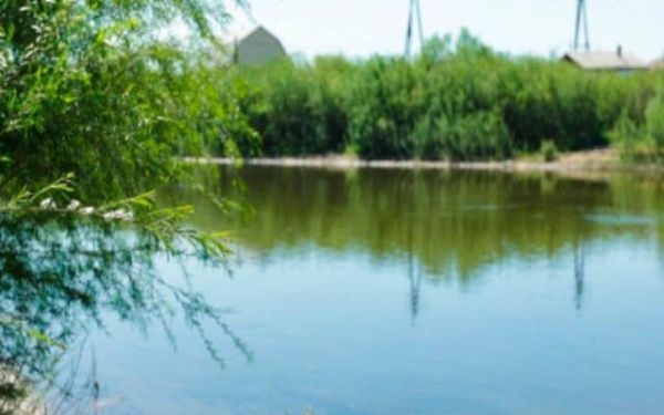 Вода в водоёмах Улан-Удэ вызывает опасения