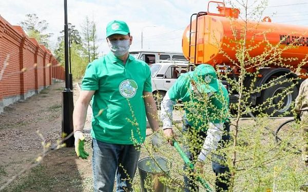 В Улан-Удэ создан научно-технический Совет по озеленению