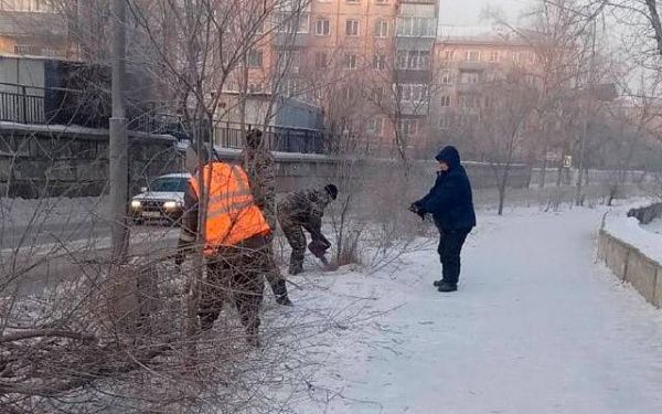 В Улан-Удэ начали обрезку кустов и деревьев