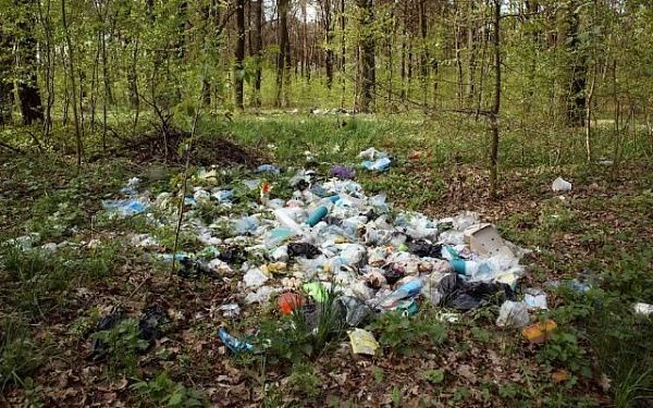 В Бурятии ужесточены наказания за выброс мусора в лесу