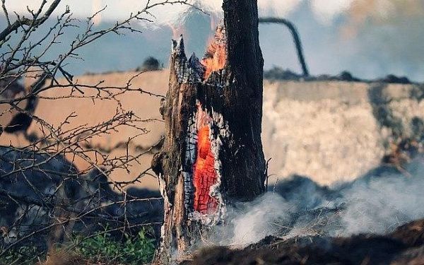 В Бурятии зарегистрирован первый лесной пожар