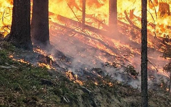 О лесопожарной обстановке в Бурятии