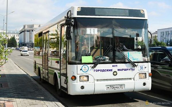 В СНТ «Черемушки» запущен бесплатно дополнительный маршрут автобуса