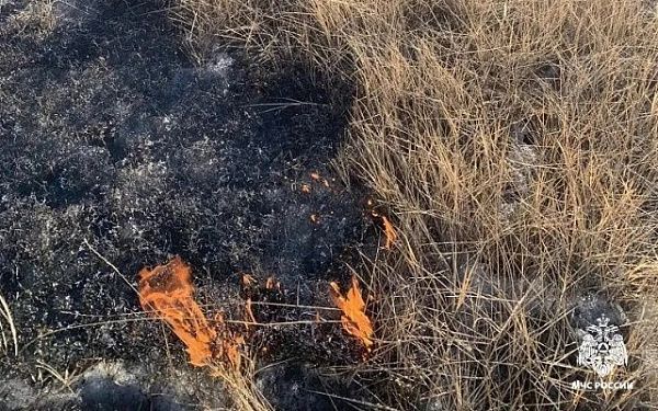 В Бурятии зафиксирован первый пал травы