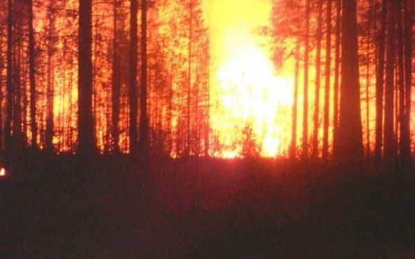 Лесной пожарный рассказал о страшном верховом пожаре в Бурятии