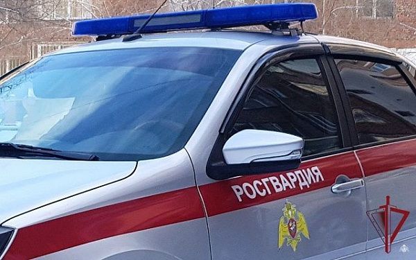 Росгвардия: за неделю раскрыто 15 преступлений и задержаны 148 правонарушителей