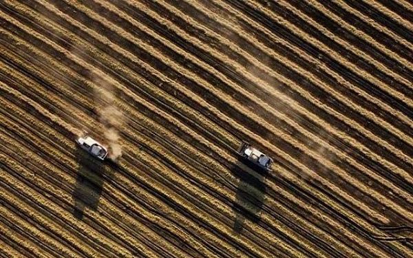 В России собрали большой урожай зерновых