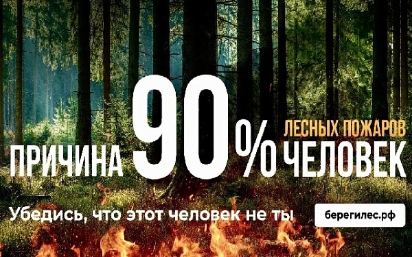 За прошедшие сутки в лесах республики обнаружено три пожара