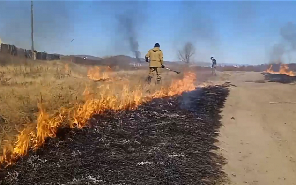 В Улан-Удэ начали отжигать траву