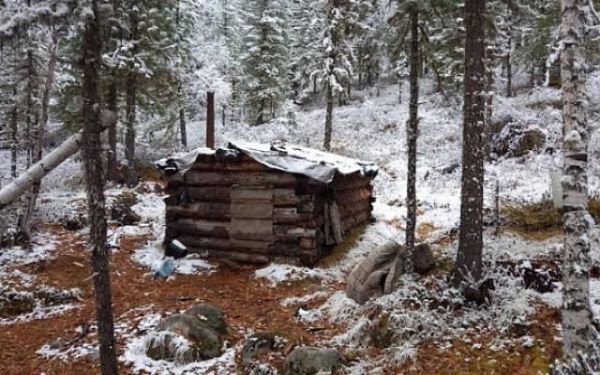 В Бурятии в местах обитания снежного барса прошли антибраконьерские рейды