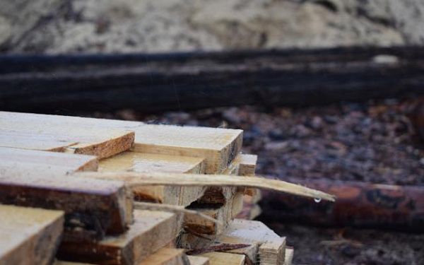 Лесники Бурятии проверяют целевое использование древесины