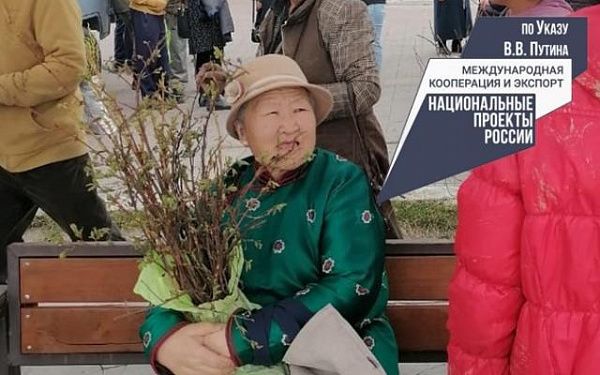 В Монголии выставка-ярмарка бурятских саженцев прошла дважды