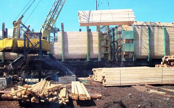 Бизнесмен из Бурятии незаконно провез лесоматериалы на 100 миллионов