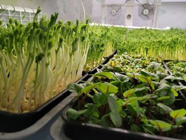 Общедомовое имущество можно использовать законно и выгодно