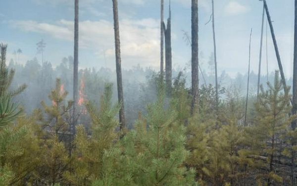 В Бурятии из-за сухой грозы возник лесной пожар