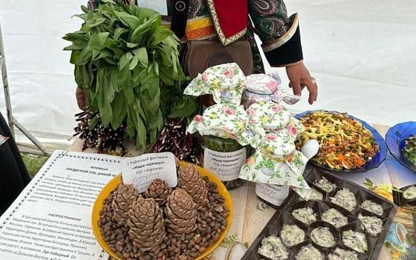 В горном районе Бурятии впервые проходит фестиваль черемши