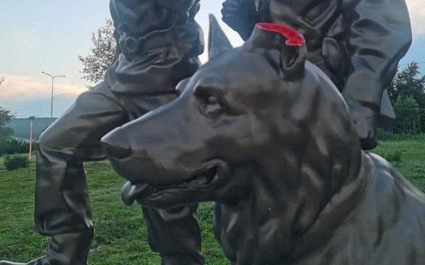 Неравнодушные жители Бурятии нашли ухо собаки - памятника пограничникам