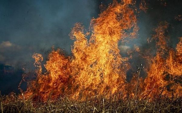 Из-за сельхозпала в Бурятии произошел первый за этот год лесной пожар