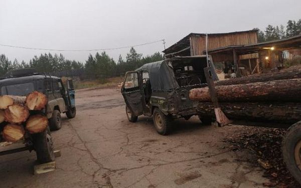 Сотрудники Росгвардии Бурятии задержали граждан за незаконную рубку леса