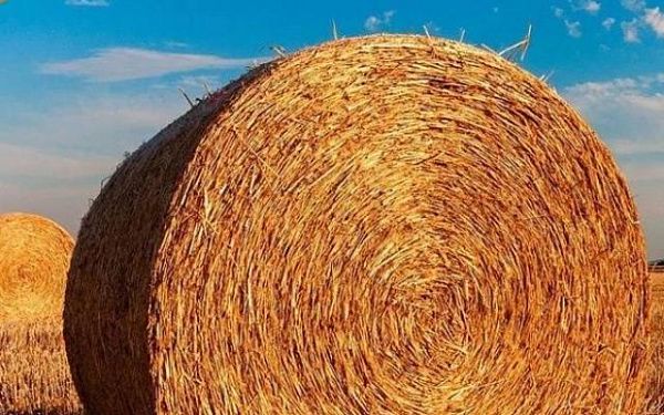 В селе Бурятии огонь уничтожил 91 тонну сена 