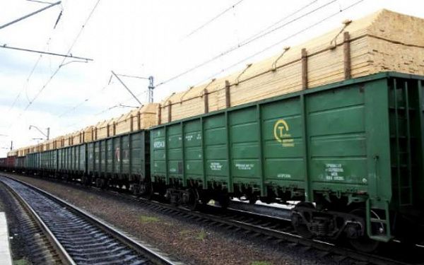 В Бурятии транспортные прокуроры взыскали 163 млн рублей у контрабандистов леса