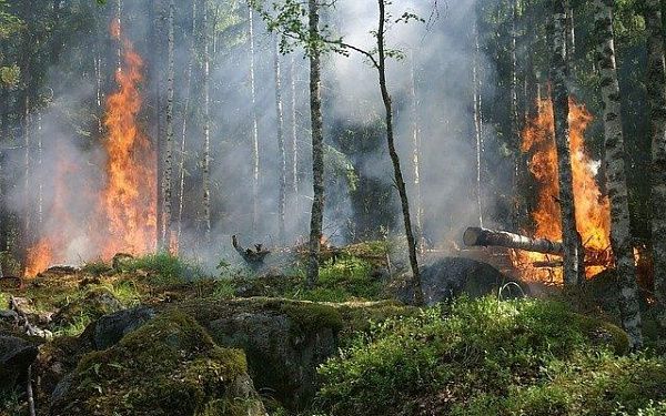 На севере Бурятии тушили лесной пожар