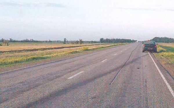 В Бурятии водитель "Тойоты Премио" сбил коня