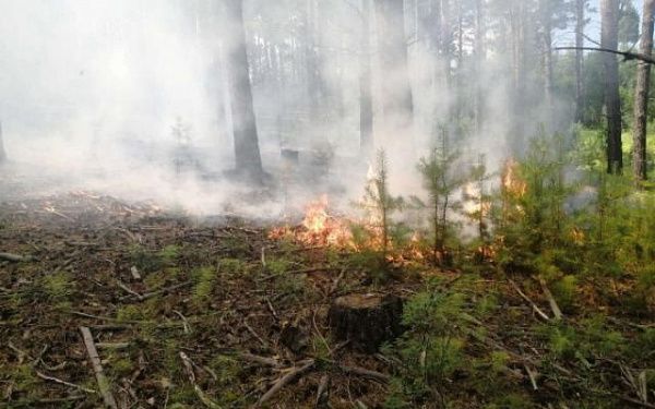 В лесах Бурятии продолжают сражаться с огнём