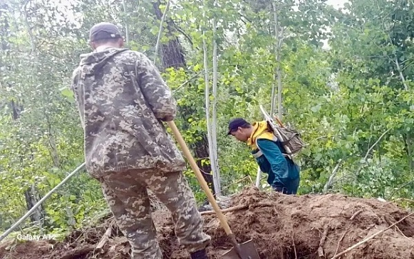 Лесники потушили три грозовых пожара
