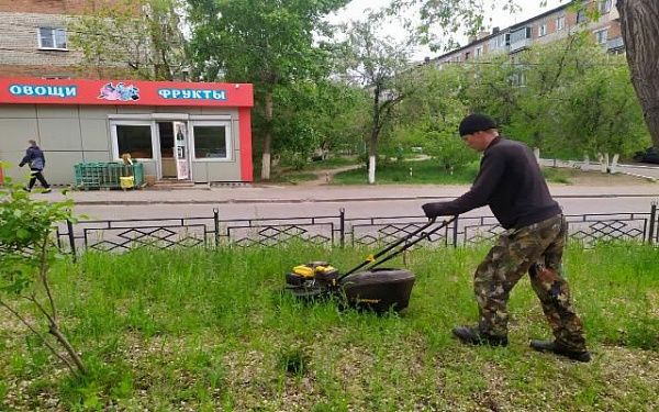 В Улан-Удэ началась стрижка газонов