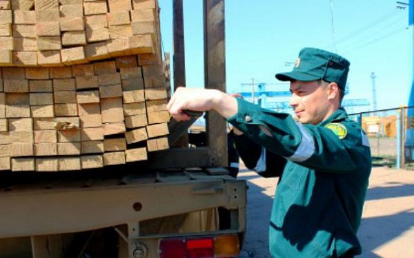 За три года контрабандисты незаконно вывезли из Бурятии лес почти на 700 млн рублей