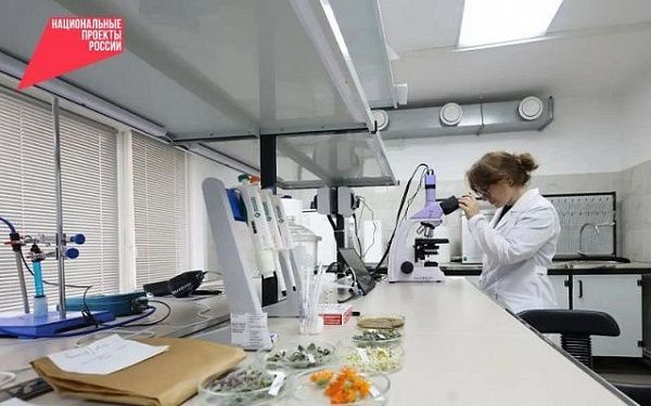 Бурятская ГСХА запускает программу переподготовки по лекарственному растениеводству