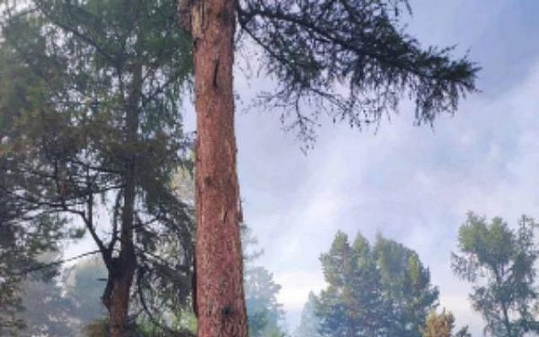 В Бурятии потушили сложный лесной пожар
