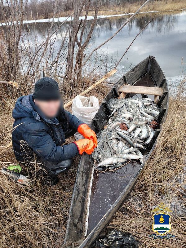 В Северобайкальском районе изъято более 230 особей омуля у браконьера