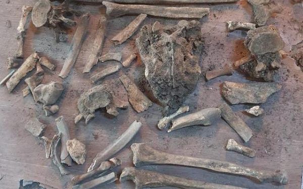 Улан-удэнцы во время ремонта нашли у себя дома костные останки