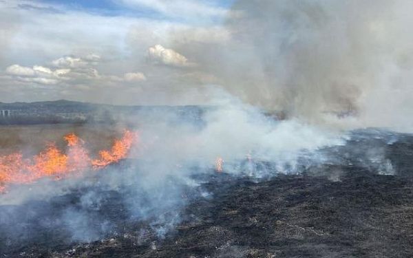 В Улан-Удэ на острове тушат возгорание травы